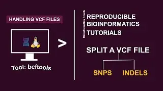 Bcftools tutorial | bcftools Split a VCF file into snps and indels