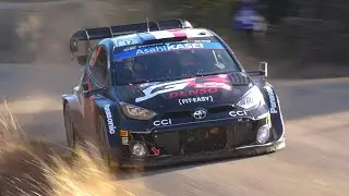 WRC Rallye Monte-Carlo 2024 - MISTAKES, MAX ATTACK + PURE SOUND