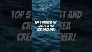 Top 5 Weirdest and Creepiest Sea Creatures You Won’t Believe Exist