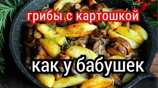 ГРИБЫ с молодой КАРТОШКОЙ КАК В СТАРИНУ...#грибы #еда #белыегрибы