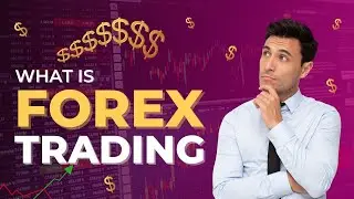 My First Forex Trading Experience: What I Learned and Tips for Beginners