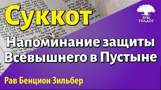 Радость Праздника и заповеди Сукки. Рав Бенцион Зильбер