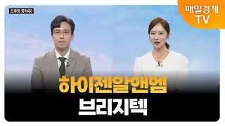 [김흥태의 오후장 공략주!] 하이젠알앤엠 브리지텍_MBN골드 김흥태 매니저