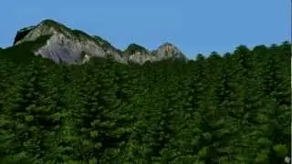 3D model of a real forest from airborne LiDAR