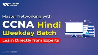 CCNA Hindi Batch | Types of Networks You Need to Know