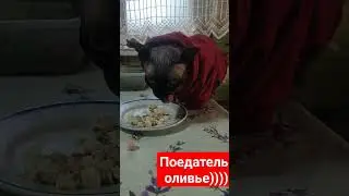 оливьешка 2 января!!!