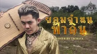 TACHAYA (เก่ง ธชย) - ยอมจำนนฟ้าดิน [Lyric Video] Original by โบวี่