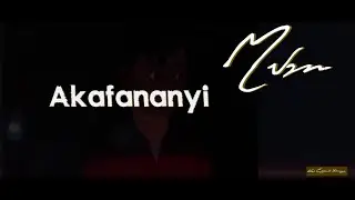 Akafananyi by Liam Voice (Official Lyrics Video)