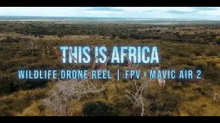 THIS IS AFRICA | Wildlife Drone Reel | FPV x Mavic Air 2