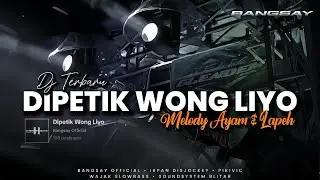 DJ TERBARU DIPETIK WONG LIYO X MELODY AYAM DAN LAPEH | BANGSAY X IRPAN DISJOCKEY