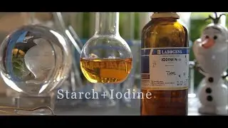 Starch test with iodine indicator | Starch + Iodine