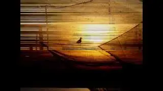 Sergio Cammariere - Controluce
