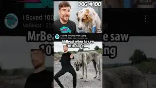 mrbeast moment