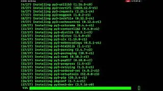 Apple IPAD: How to Install Python3, Python3-Dev, pip, git, curl with Ish-Terminal App