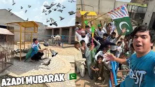 Releasing 100+Birds || 100+Sparoows on independence Day 🇵🇰 ❤️