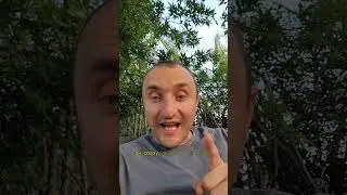 #дальнобойщик