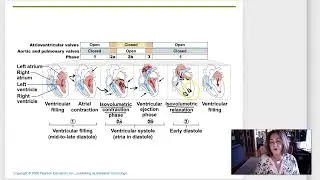 Week 7 Lecture 3 Cardiac cycle and output