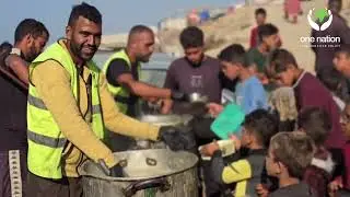 Daily hot meals in Gaza - 7th November 2024