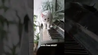 Wanna Free Piano Tutorials With Free MIDIs