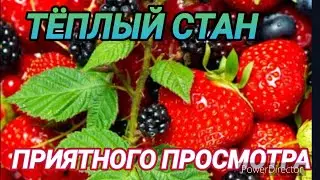 ТЁПЛЫЙ СТАН  НОВОЯСЕНЕВСКИЙ ОВОЩНОЙ 🍒РЫНОК  № 2 и 3 ПО ВАШИМ ПРОСЬБАМ 14.06.2022