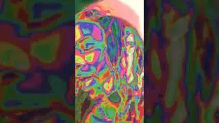 😎😎😎😎😎😎 