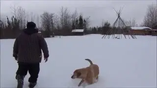 Ездили на заимку. Всех с 8 марта! В Канаде весна.