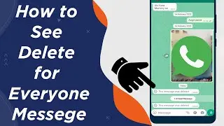 How to See Delete for Everyone Message on WhatsApp - 2022