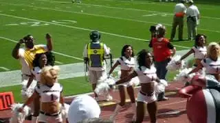 Houston Texans Cheerleaders 2008