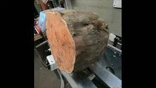 Yew have to love a Yew log #woodworking #woodturning