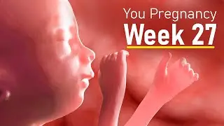 How big is your baby at 27 weeks pregnant ? Your body at week 27 of pregnancy.