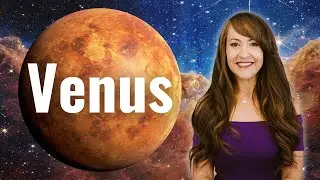 VENUS Brings Us TOGETHER—Everything You Need to Know About Venus!