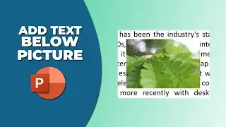 How to add text below a picture in PowerPoint