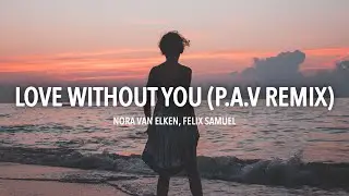 Nora Van Elken - Love Without You (P.A.V Remix)