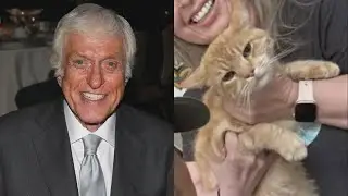 Dick Van Dyke Says Neighbors Saved Him From Malibu House Fire