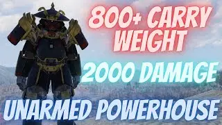 Fallout 76 How to Get Over 800 Carry Weight!! | Unarmed PA Build