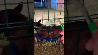 Sıcak çok sıcak 😎 