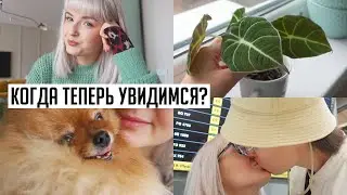 ВОЗВРАЩАЮСЬ ДОМОЙ ❤️ Как надолго расстаемся с мужем? Встреча с пушистыми 😻