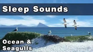 Soothing OCEAN WAVES & SEAGULLS Sleep Sounds: Sea Gull Sounds, Sounds of The Ocean, 12 Hours