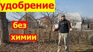 Универсальное самое лучшее весенние органические удобрения без химии для огорода и сада