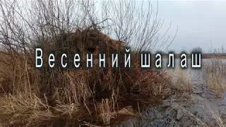 Весенний шалаш