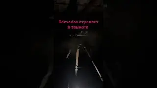 Razvedos стреляет в темноте Разведос проверяет ночное зрение стрельба ночью тепловизор снайпер 338