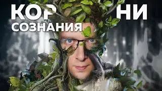 Проблема сознания РАСТЕНИЙ: последние открытия | Безумные научные идеи #3