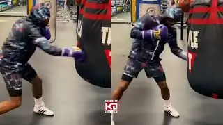 Sweet Science Great Floyd Mayweather Working The Extra Wide Title Heavy Bag