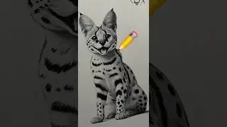 7 Levels of Cat Drawing Mastery #shorts