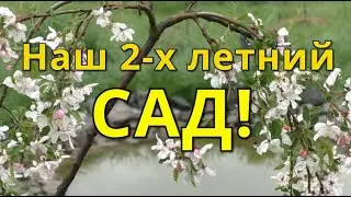 АРХИВНЫЕ КАДРЫ! КАК ВЫГЛЯДЕЛ НАШ 2-УХ ЛЕТНИЙ ДЕКОРАТИВНЫЙ САД В МАЕ 2021 г.