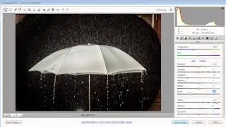 Photography in the Rain: Take & Make Great Photography with Gavin Hoey: Adorama Photography TV