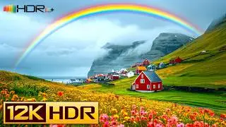 12K HDR 10 Bit Video 60fps (ULTRA HD)