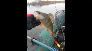 Клёв через заброс Таежное Озеро  🎣Новый член в семье ,Готовимся к сезону 2024