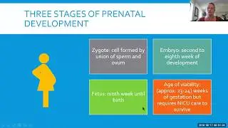 Fetal Development