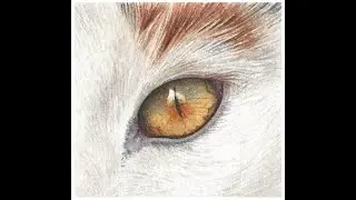 How to Paint a Realistic Cat Eye in Watercolor, Course Preview